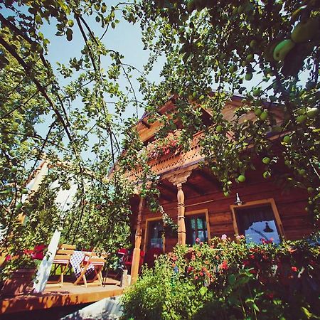 Вілла Mietowy Aniol Устрики-Долішні Екстер'єр фото